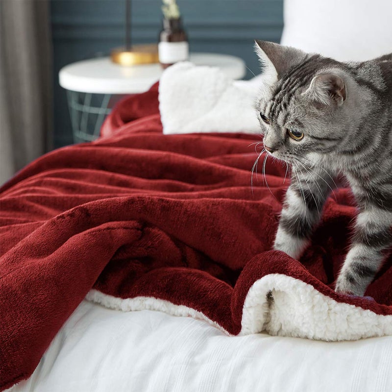 LBRO2M Sherpa Fleece Bed Blanket King Size Super Soft Fuzzy Plush Warm Cozy Fluffy Microfiber Couch Throw Velvet Double Reversible Blankets,Red - Image 5